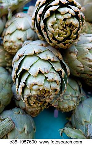 Artichokes for sale at a market View Large Photo Image Stock Image - Artichokes for sale at a market. Fotosearch