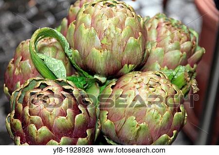 Stock Photo - Artichokes, greengrocers stall in Trastevere is a typical district of Rome, Italy. Fotosearch