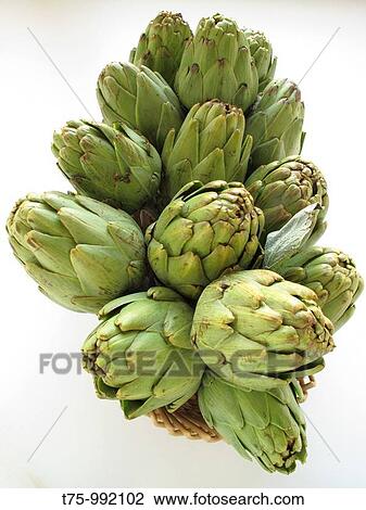 artichokes View Large Photo Image Stock Image - artichokes. Fotosearch