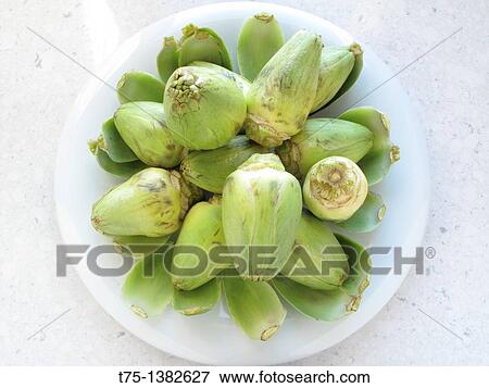 Artichokes View Large Photo Image Stock Photo - Artichokes. Fotosearch