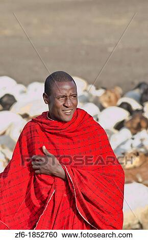 Arusha Tanzania Africa safari Masai men herder of goats leading flock to home village Maasai, red, color, work, farm, farming, grazing 3 View Large Photo Image Stock Image - Arusha Tanzania Africa safari Masai men herder of goats leading flock to home village Maasai, red, color, work, farm, farming, grazing 3. Fotosearch