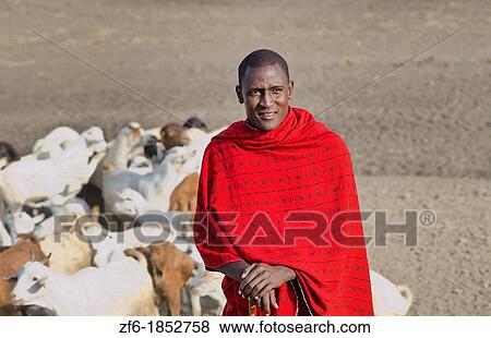 Arusha Tanzania Africa safari Masai men herder of goats leading flock to home village Maasai, red, color, work, farm, farming, grazing 3 View Large Photo Image Stock Photo - Arusha Tanzania Africa safari Masai men herder of goats leading flock to home village Maasai, red, color, work, farm, farming, grazing 3. Fotosearch