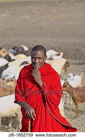 Arusha Tanzania Africa safari Masai men herder of goats leading flock to home village Maasai, red, color, work, farm, farming, grazing 3 View Large Photo Image Stock Photo - Arusha Tanzania Africa safari Masai men herder of goats leading flock to home village Maasai, red, color, work, farm, farming, grazing 3. Fotosearch