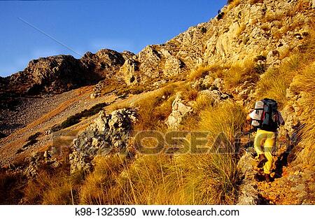 Ascending Puig Tomir hill, Serra de Tramuntana, Escorca, Majorca, Balearic Islands, Spain View Large Photo Image Stock Image - Ascending Puig Tomir hill, Serra de Tramuntana, Escorca, Majorca, Balearic Islands, Spain. Fotosearch