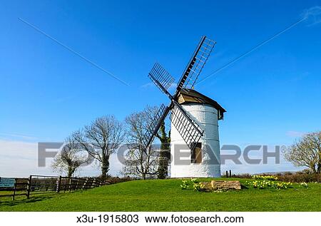 Stock Image - Ashton Windmill on a sunny spring day near Chapel Allerton, Somerset, England. Fotosearch