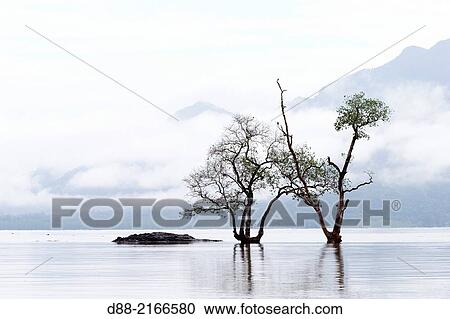 Stock Image - Asia, Borneo, Malaysia, Sarawak, Kuching, mouth of the river iSalak in the South China Sea.. Fotosearch