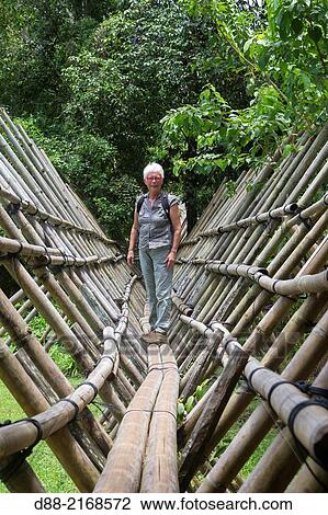 Asia, Borneo, MalaysiaS, arawak, Kuching, bamboo bridge. View Large Photo Image Stock Image - Asia, Borneo, MalaysiaS, arawak, Kuching, bamboo bridge.. Fotosearch