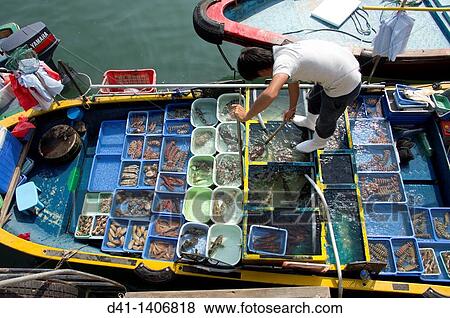 Asia, China, Hong Kong, New Territories, Saikung, fishing View Large Photo Image Stock Photo - Asia, China, Hong Kong, New Territories, Saikung, fishing. Fotosearch