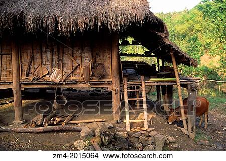 ASIA, NO. VIETNAM, NEAR HOA BINH GIANG MO VILLAGE, MUONG HILL-TRIBE, TRADITIONAL HOUSE ON STILTS. View Large Photo Image Picture - ASIA, NO. VIETNAM, NEAR HOA BINH GIANG MO VILLAGE, MUONG HILL-TRIBE, TRADITIONAL HOUSE ON STILTS.. Fotosearch