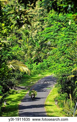 Asia, South-East Asia, Indonesia, Bali, Sidemen. Transport Moped. View Large Photo Image Stock Photography - Asia, South-East Asia, Indonesia, Bali, Sidemen. Transport Moped.. Fotosearch