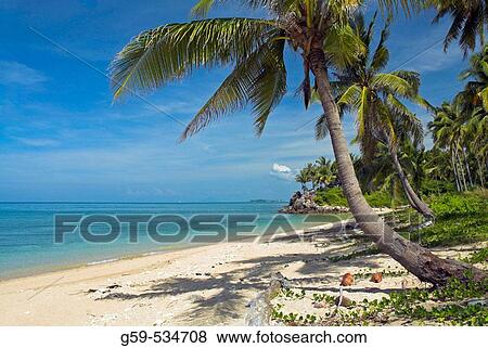 Asia Thailand Andaman Sea Coast Ko Lanta Hat Phra Ae (Phra Ae Beach) View Large Photo Image Stock Photo - Asia Thailand Andaman Sea Coast Ko Lanta Hat Phra Ae (Phra Ae Beach). Fotosearch