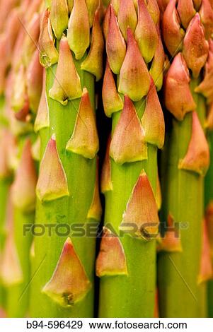 Stock Photo - Asparagus. La Boquer? a market. Barcelona. Spain.. Fotosearch