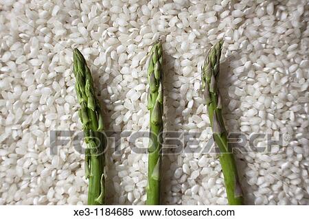 Stock Photography - Asparagus on rice bed. Fotosearch