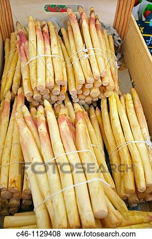 Asparagus. Saint Tropez. Cote d? azur. Riviera. France. View Large Photo Image Stock Photo - Asparagus. Saint Tropez. Cote d? azur. Riviera. France.. Fotosearch