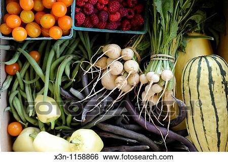 Assorted vegetables View Large Photo Image Stock Photograph - Assorted vegetables. Fotosearch