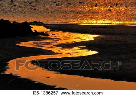 Stock Photo - At sunset, a shining rivulet, the North Sea in the background, Sylt, Germany. Fotosearch