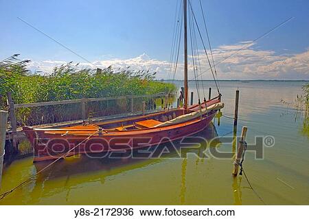 At the Achterwasser at Warthe, Lieper Winkel, Usedom, Germany. View Large Photo Image Stock Photograph - At the Achterwasser at Warthe, Lieper Winkel, Usedom, Germany.. Fotosearch