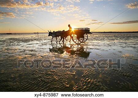 At the beach of Tulear, Madagascar View Large Photo Image Stock Photo - At the beach of Tulear, Madagascar. Fotosearch