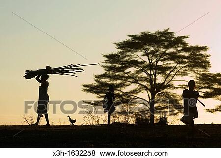 at twilight, around Ambondrona, west coast, Nosy Be island, Republic of Madagascar, Indian Ocean View Large Photo Image Stock Photo - at twilight, around Ambondrona, west coast, Nosy Be island, Republic of Madagascar, Indian Ocean. Fotosearch