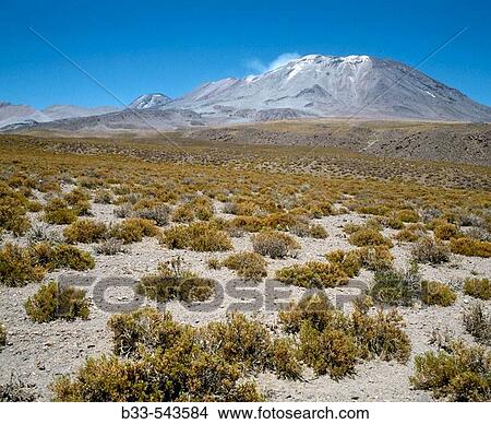 Picture - Atacama Desert, Chile. Fotosearch
