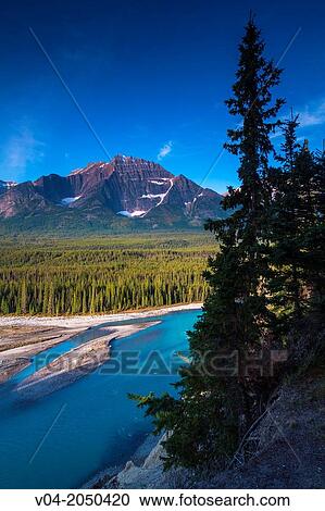 Athabasca River and the Canadian Rocky Mountains in the Jasper National Park, Alberta, Canada View Large Photo Image Stock Image - Athabasca River and the Canadian Rocky Mountains in the Jasper National Park, Alberta, Canada. Fotosearch