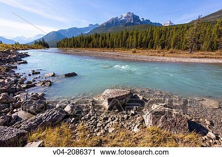 Athabasca River and the Canadian Rocky Mountains in the Jasper National Park, Alberta, Canada View Large Photo Image Stock Image - Athabasca River and the Canadian Rocky Mountains in the Jasper National Park, Alberta, Canada. Fotosearch