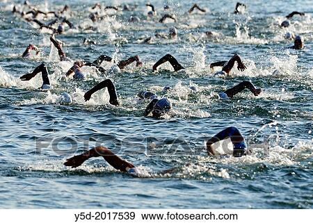 athletes swimming in Lake Geneva, first race of International Geneva Triathlon, on July 21, 2013, Geneva, Lake Geneva, Switzerland View Large Photo Image Stock Photo - athletes swimming in Lake Geneva, first race of International Geneva Triathlon, on July 21, 2013, Geneva, Lake Geneva, Switzerland. Fotosearch