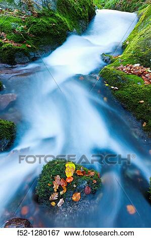 Atlantic forest in autumn in the Saja-Besaya Natural Park, Cantabria, Spain View Large Photo Image Stock Photo - Atlantic forest in autumn in the Saja-Besaya Natural Park, Cantabria, Spain. Fotosearch