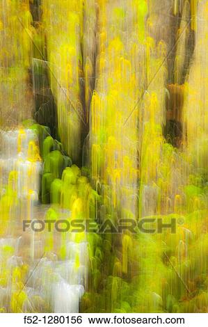 Atlantic forest in autumn in the Saja-Besaya Natural Park, Cantabria, Spain View Large Photo Image Stock Photograph - Atlantic forest in autumn in the Saja-Besaya Natural Park, Cantabria, Spain. Fotosearch