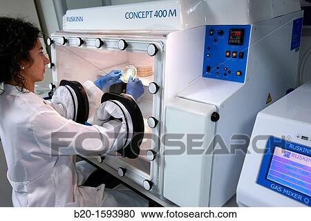 Stock Image - Atmosphere-controlled booth Cleanroom Microbiology Anaerobic microbiology laboratory. Fotosearch