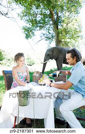 Attractive caucasian couple enjoying a luxury picnic outdoors near an elephant, Botlierskop Game Reserve, Mosselbay, South Africa. View Large Photo Image Stock Image - Attractive caucasian couple enjoying a luxury picnic outdoors near an elephant, Botlierskop Game Reserve, Mosselbay, South Africa.. Fotosearch