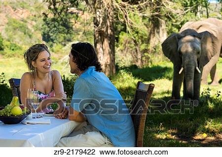 Attractive couple flirting during a luxury picnic outdoors near an elephant at Botleirskop Game Lodge, Mosselbay, Western Cape, South Africa. View Large Photo Image Stock Image - Attractive couple flirting during a luxury picnic outdoors near an elephant at Botleirskop Game Lodge, Mosselbay, Western Cape, South Africa.. Fotosearch