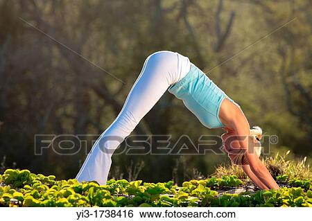 Attractive woman practices yoga at Makena, Maui, Hawaii View Large Photo Image Stock Photograph - Attractive woman practices yoga at Makena, Maui, Hawaii. Fotosearch