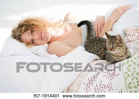 Attractive young woman in bed with her cat View Large Photo Image Stock Image - Attractive young woman in bed with her cat. Fotosearch