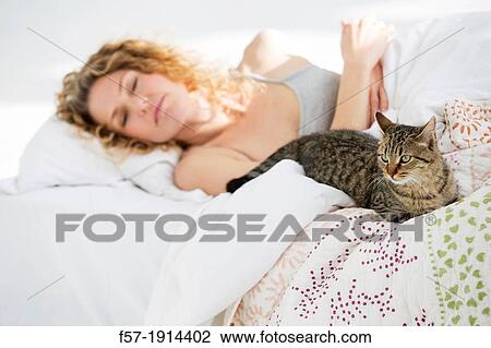 Attractive young woman in bed with her cat View Large Photo Image Stock Image - Attractive young woman in bed with her cat. Fotosearch
