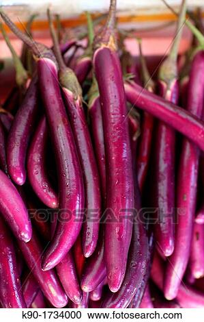 Aubergine, Hong Kong, China, Asia View Large Photo Image Stock Image - Aubergine, Hong Kong, China, Asia. Fotosearch