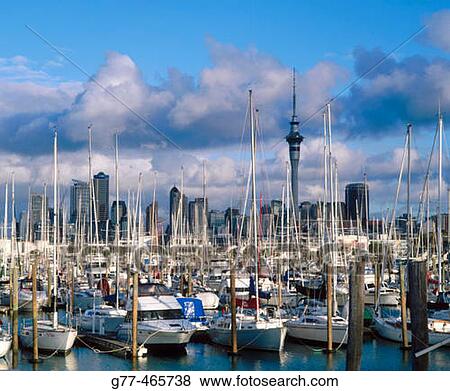 Auckland. North Island, New Zealand View Large Photo Image Stock Photo - Auckland. North Island, New Zealand. Fotosearch