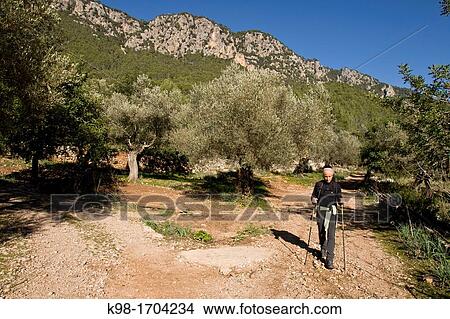 Picture - Aufabia Sierra, Sierra de Tramuntana, Mallorca, Spain Balearic Islans. Fotosearch