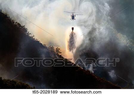 August 2013 Lugo Fire in Navia, in Ancares, Natura protected area, Biosphere and reserba. It affects more than 500 hectares of forest. Aerial and terrestrial media trying to control the fire from Thursday. View Large Photo Image Stock Photo - August 2013 Lugo Fire in Navia, in Ancares, Natura protected area, Biosphere and reserba. It affects more than 500 hectares of forest. Aerial and terrestrial media trying to control the fire from Thursday.. Fotosearch