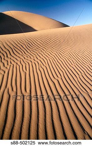 Stock Photography - August in the desert it was so hot in the day time. 50? thermometer was? t enough to measure. I took this picture cool early in the morning in the total silence.. Fotosearch