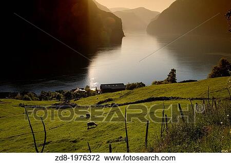 Aurlandsfjord in norway. View Large Photo Image Stock Image - Aurlandsfjord in norway.. Fotosearch