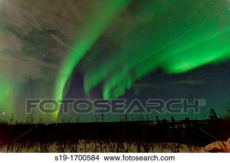 Picture - Aurora Borealis Northern Lights. Fotosearch