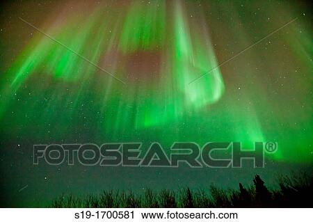 Aurora Borealis Northern Lights View Large Photo Image Stock Image - Aurora Borealis Northern Lights. Fotosearch