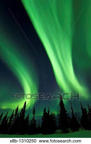Stock Image - Aurora Borealis Northern Polar Lights over the boreal forest outside Yellowknife, Northwest Territories, Canada. Fotosearch