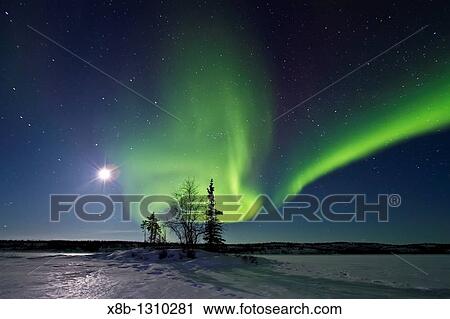Aurora Borealis Northern Polar Lights over the boreal forest outside Yellowknife, Northwest Territories, Canada View Large Photo Image Stock Image - Aurora Borealis Northern Polar Lights over the boreal forest outside Yellowknife, Northwest Territories, Canada. Fotosearch