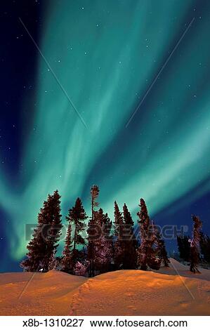 Aurora Borealis Northern Polar Lights over the boreal forest outside Yellowknife, Northwest Territories, Canada View Large Photo Image Stock Photo - Aurora Borealis Northern Polar Lights over the boreal forest outside Yellowknife, Northwest Territories, Canada. Fotosearch