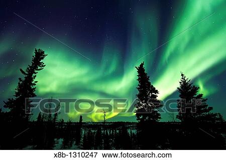 Aurora Borealis Northern Polar Lights over the boreal forest outside Yellowknife, Northwest Territories, Canada View Large Photo Image Stock Photo - Aurora Borealis Northern Polar Lights over the boreal forest outside Yellowknife, Northwest Territories, Canada. Fotosearch