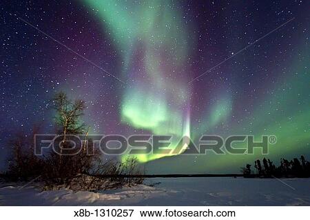 Stock Photo - Aurora Borealis Northern Polar Lights over the boreal forest outside Yellowknife, Northwest Territories, Canada. Fotosearch