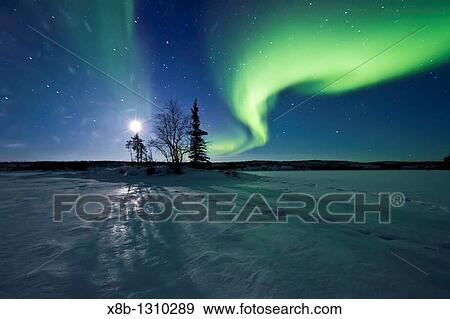 Aurora Borealis Northern Polar Lights over the boreal forest outside Yellowknife, Northwest Territories, Canada View Large Photo Image Stock Photo - Aurora Borealis Northern Polar Lights over the boreal forest outside Yellowknife, Northwest Territories, Canada. Fotosearch