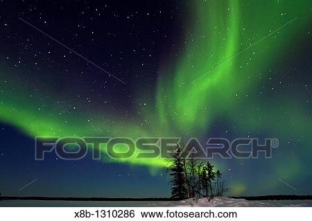 Stock Photograph - Aurora Borealis Northern Polar Lights over the boreal forest outside Yellowknife, Northwest Territories, Canada. Fotosearch